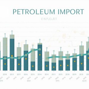 Petroleum Import/Export Data Reports